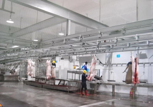 民生實事喜結(jié)碩果 區(qū)肉聯(lián)廠遷建項目一期工程竣工驗收并投入運營
